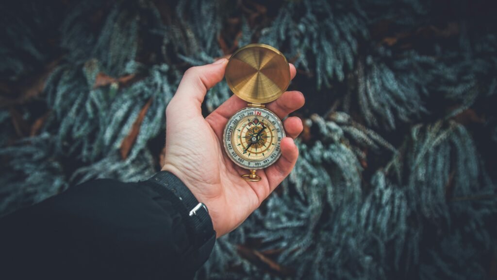 A close-up shot of a hand wearing a dark jacket and grey sleeve, holding an open, vintage brass pocket compass against a dark, blurry background of frost-covered or textured foliage.